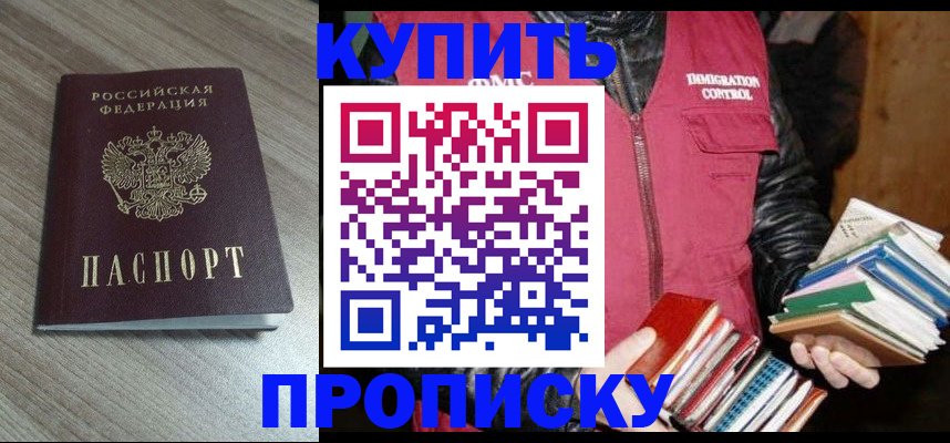 прописка 2025 в Стародубе